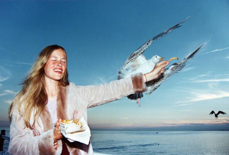 Подборка картинок. Вечерний выпуск (30 фото) - 14.06.2022