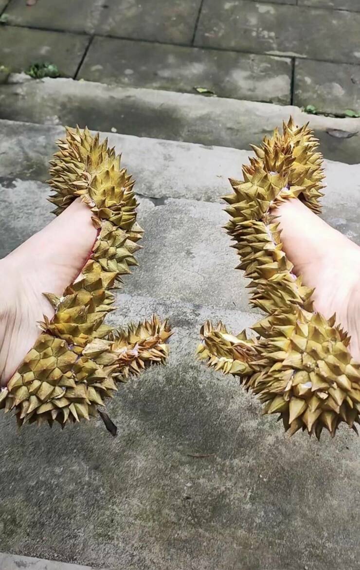 Подборка картинок. Вечерний выпуск (30 фото) - 14.06.2022