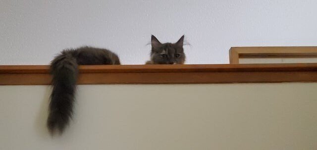 18 изображений, которые заморочат вам голову