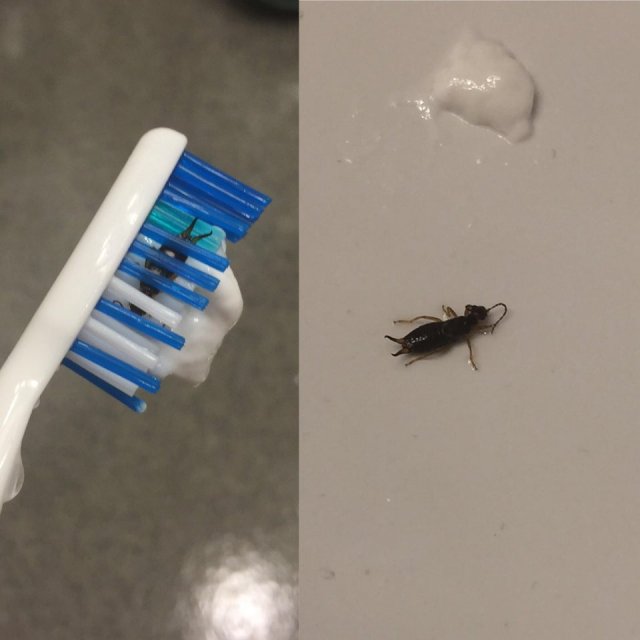 За секунду до: пользователи показали, как они чуть не потерпели фиаско