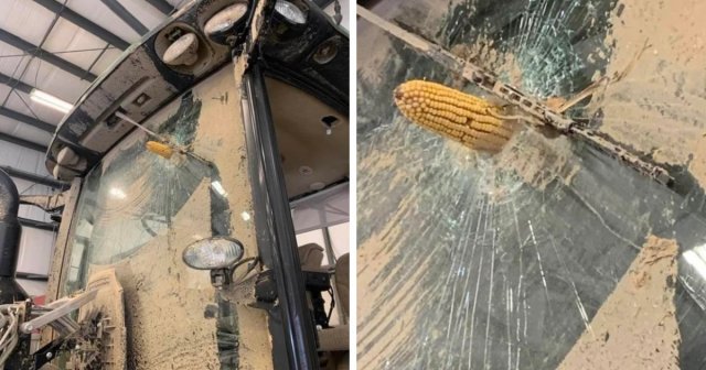 За секунду до: пользователи показали, как они чуть не потерпели фиаско