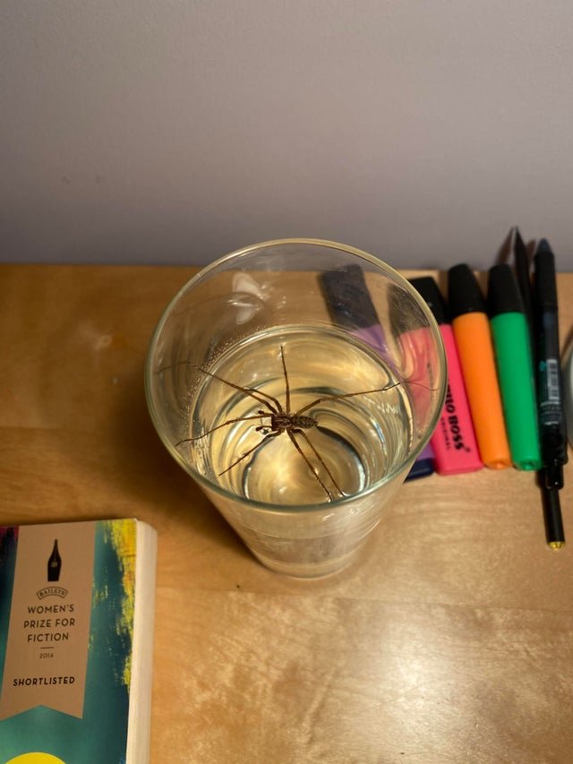 За секунду до: пользователи показали, как они чуть не потерпели фиаско