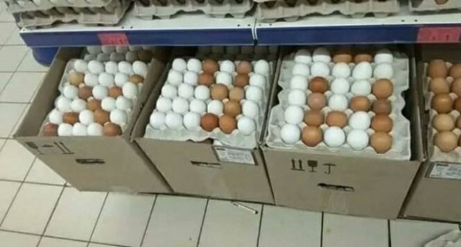 Смешные и познавательные картинки