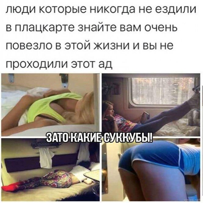 Смешные и познавательные картинки