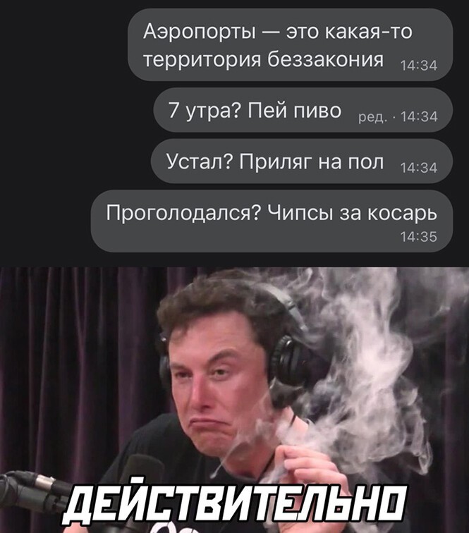 Смешные и познавательные картинки