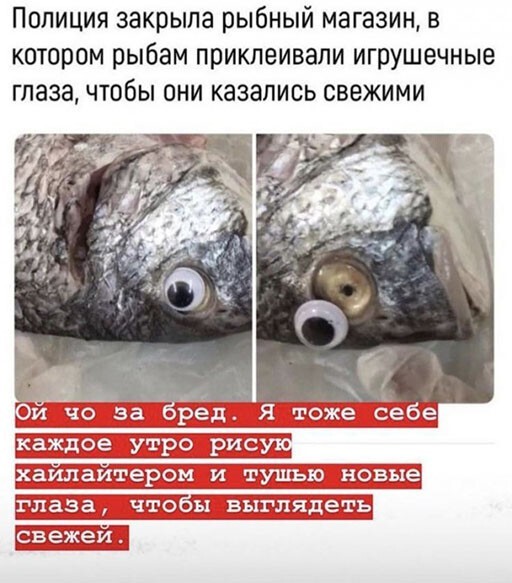 Смешные и познавательные картинки