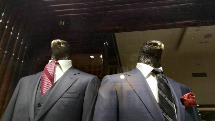 Подборка картинок. Вечерний выпуск (30 фото) - 24.06.2022