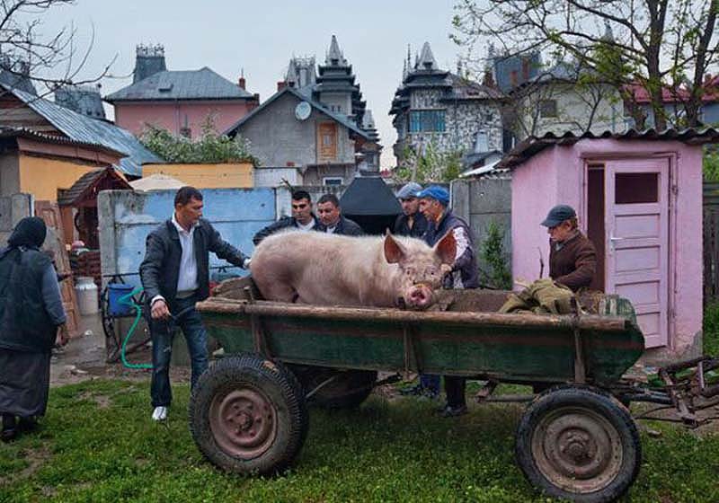 Фотография: Бузеску — столица цыган-миллионеров №32 - BigPicture.ru