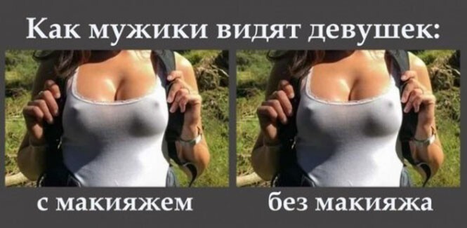 Смешные и познавательные картинки