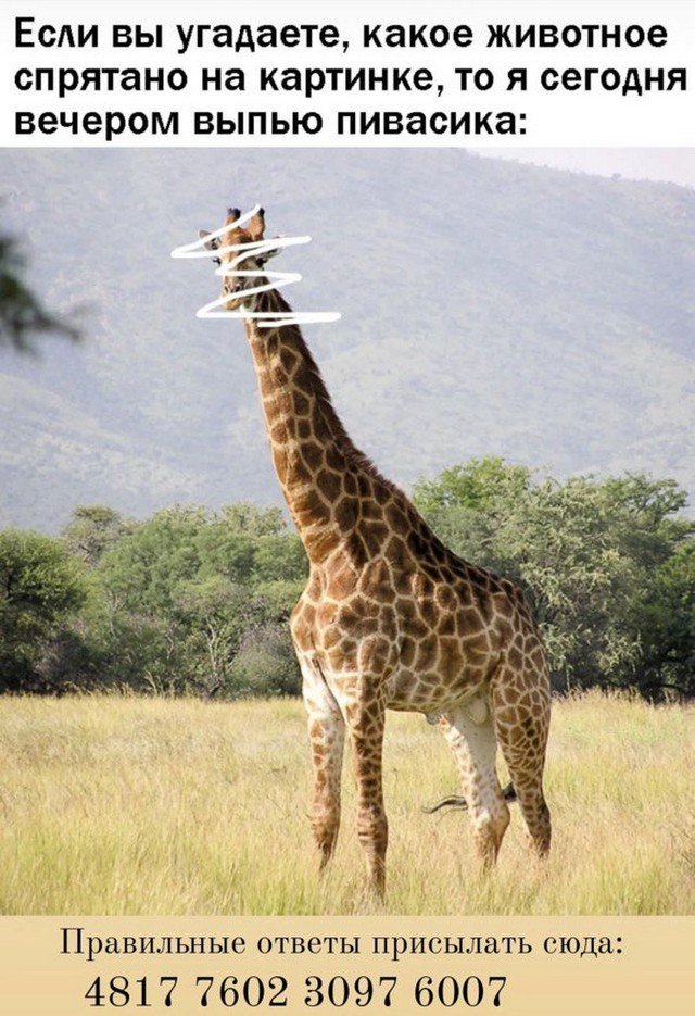 Лучшие шутки и мемы из Сети - 27.06.2022