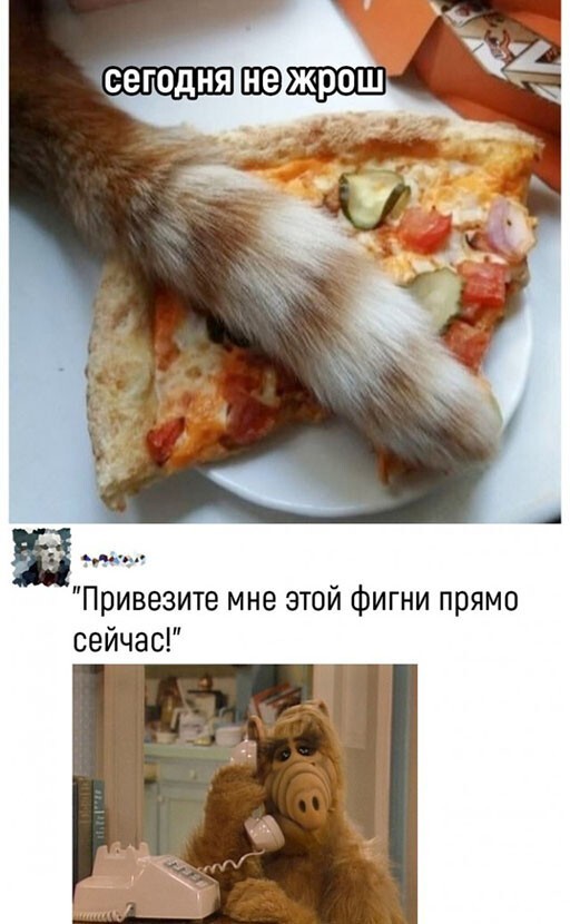 Смешные и познавательные картинки