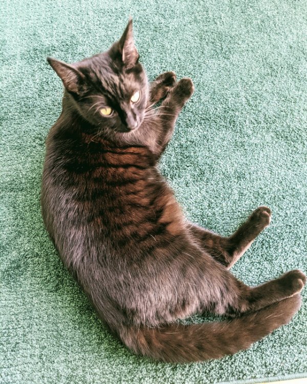 Удивительное рядом: интересные наблюдения людей Удивительное рядом: интересные наблюдения людей