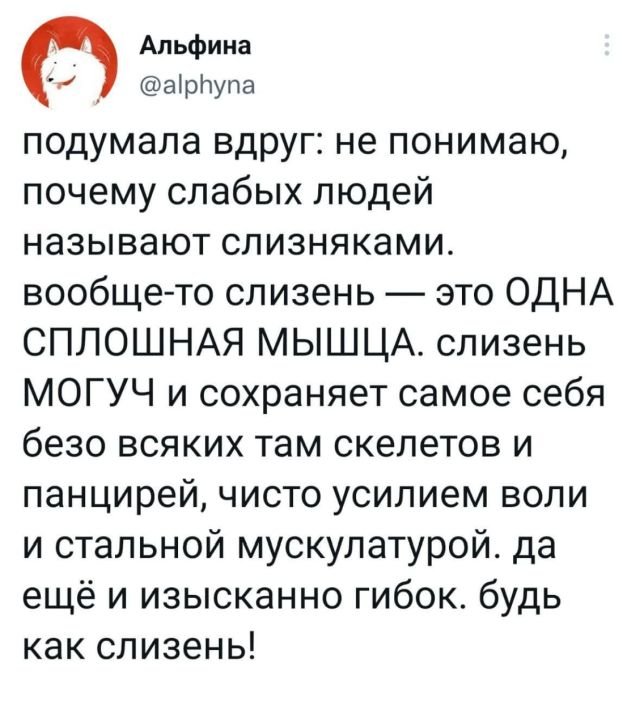 Подборка забавных твитов обо всем