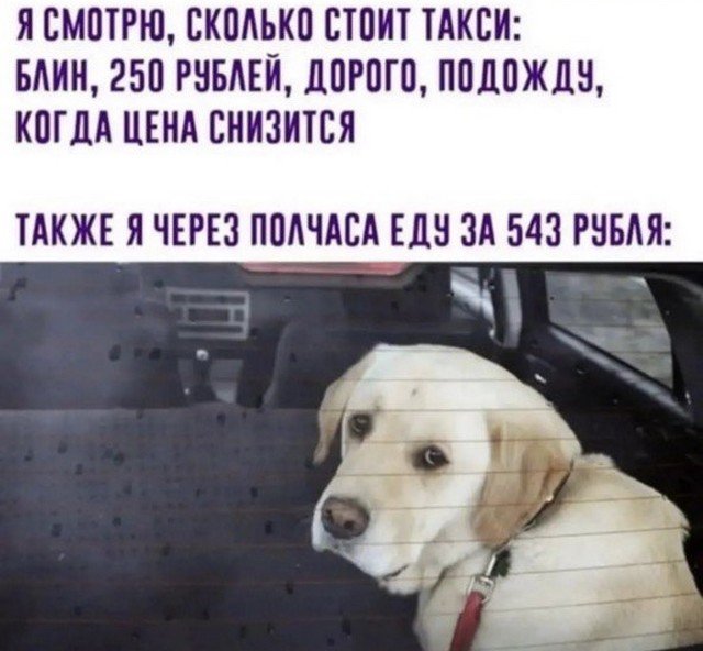 Лучшие шутки и мемы из Сети - 04.07.2022