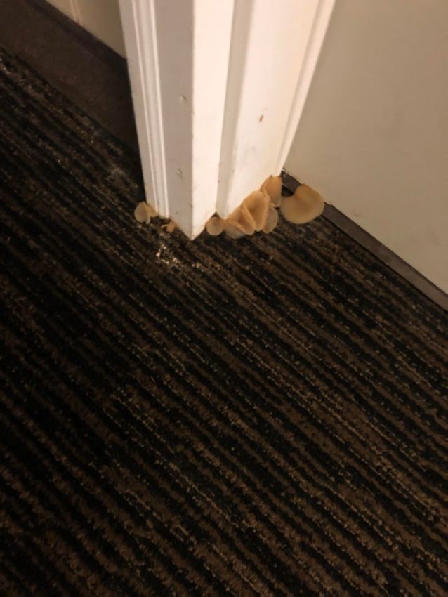 гостинница