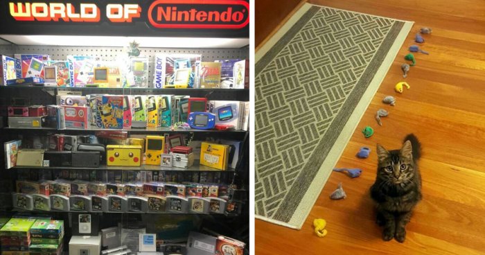 30 необычных и забавных коллекций, которыми похвастались пользователи сети 30 необычных и забавных коллекций, которыми похвастались пользователи сети