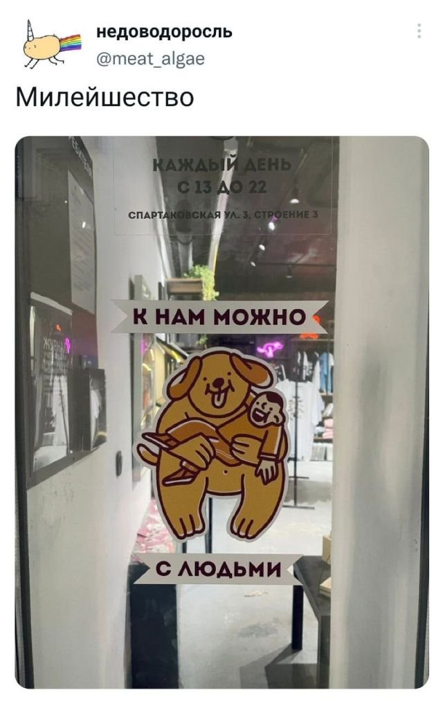 Подборка забавных твитов обо всем - 11.07.2022