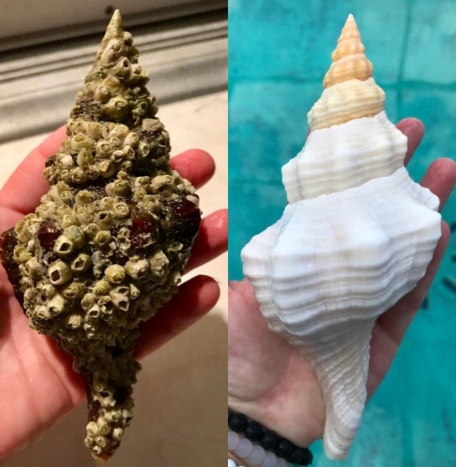 Фотография: Невероятная сила чистоты: 20 вещей, которые стали как новые после чистки №17 - BigPicture.ru