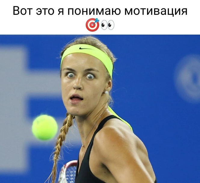 Смешные и познавательные картинки