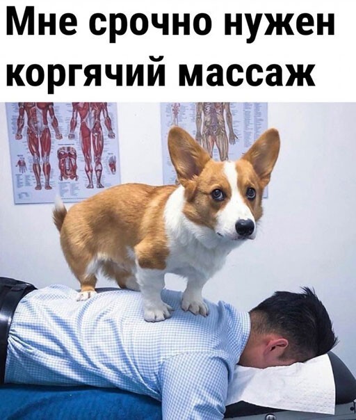 Смешные и познавательные картинки