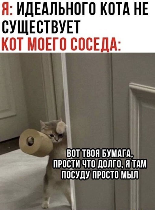 Смешные и познавательные картинки