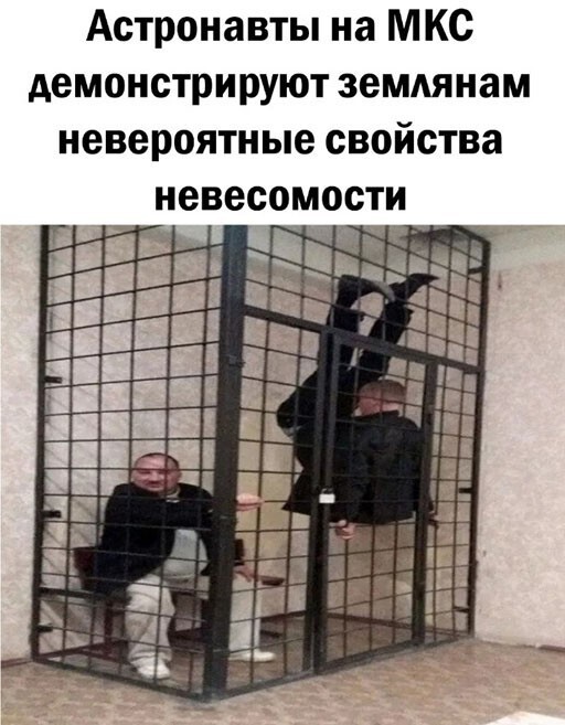 Смешные и познавательные картинки