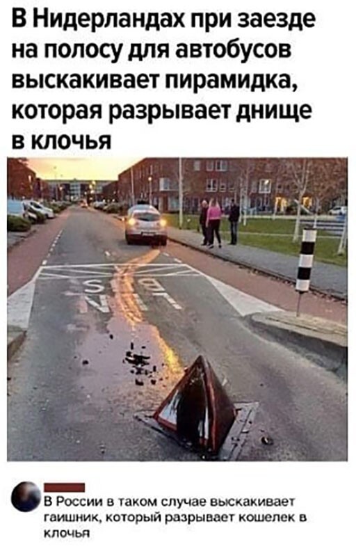 Смешные и познавательные картинки