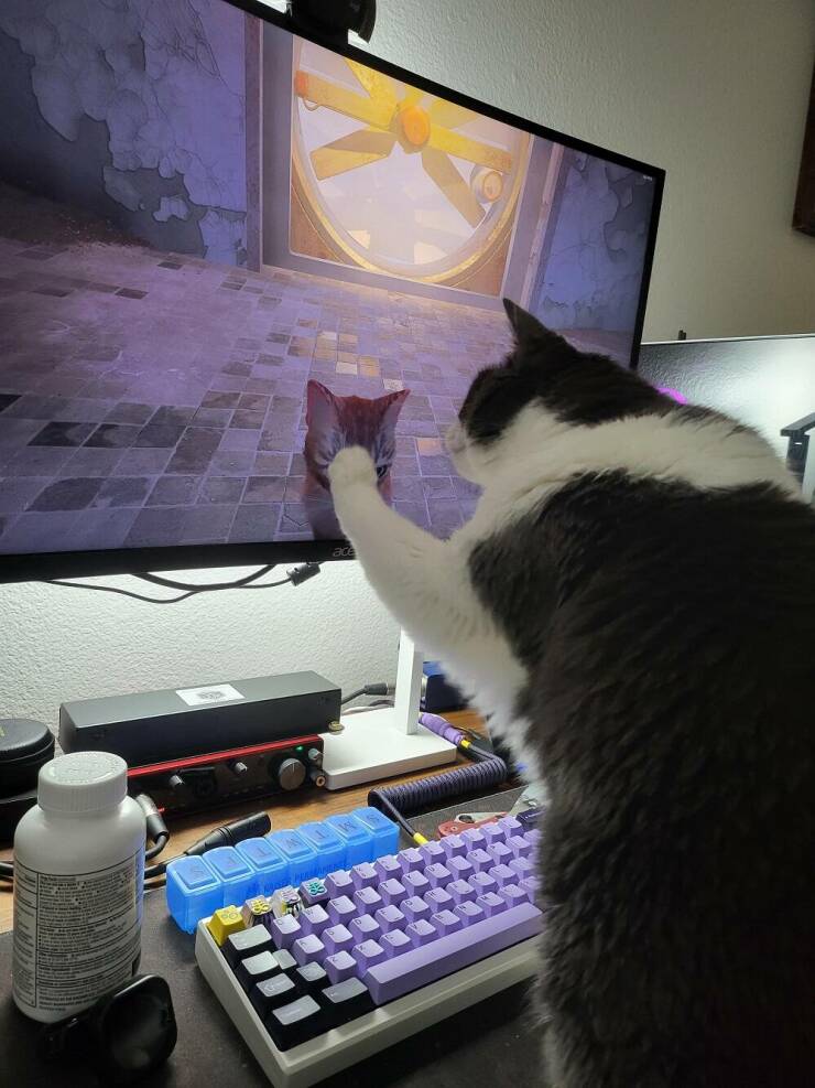 Подборка картинок. Вечерний выпуск (30 фото) - 25.07.2022