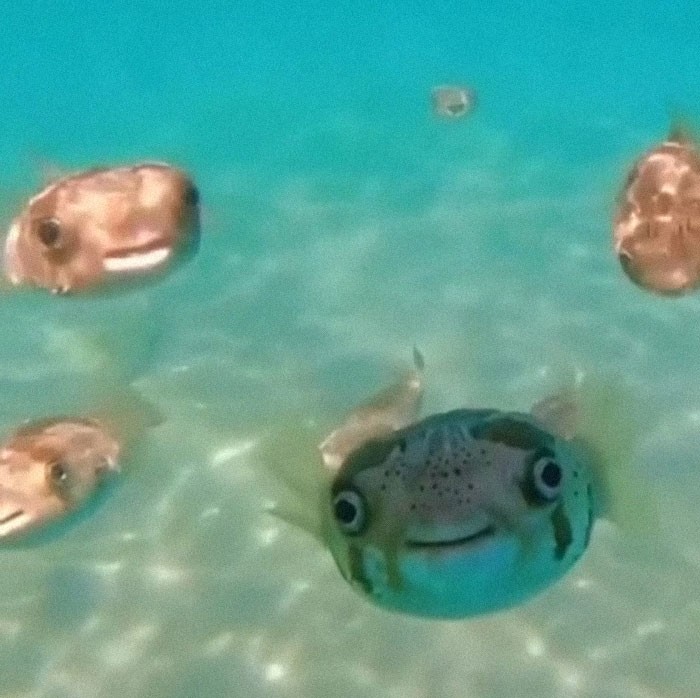 14. Ладно, это даже почти мило 14. Ладно, это даже почти мило