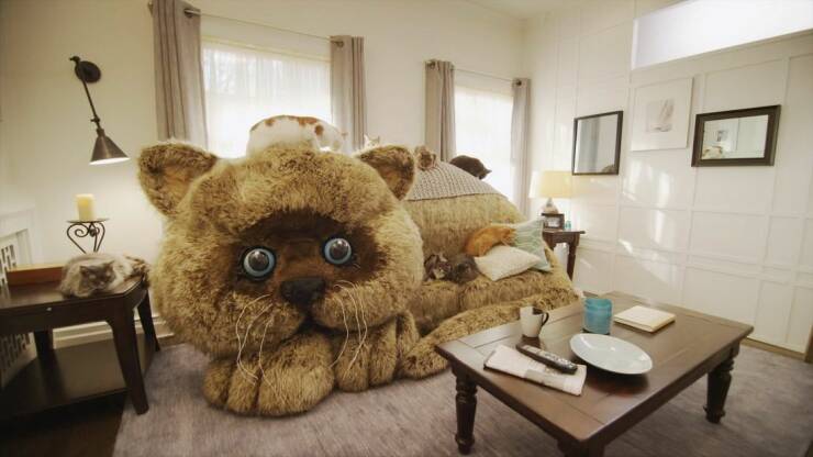 Подборка картинок. Вечерний выпуск (30 фото) - 29.07.2022