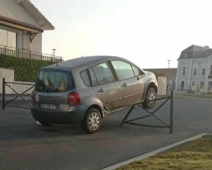 Подборка картинок. Вечерний выпуск (30 фото) - 29.07.2022