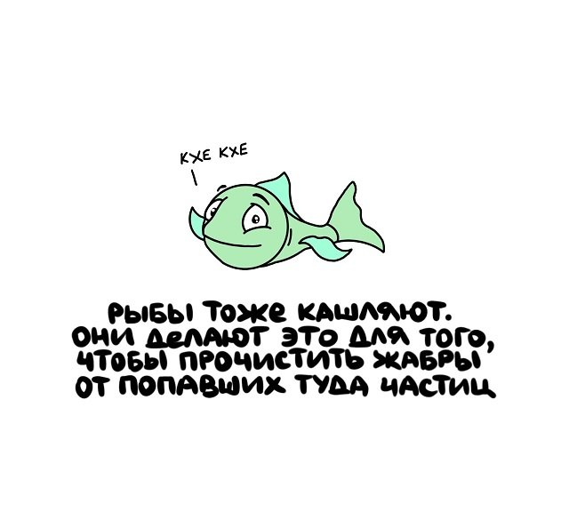 Интересные факты на все случаи жизни