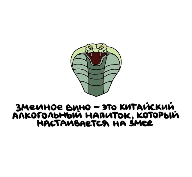 Интересные факты на все случаи жизни