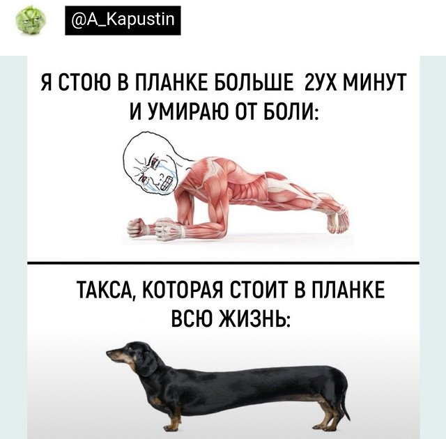 Подборка забавных твитов обо всем