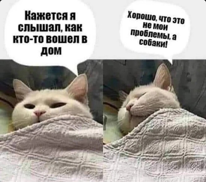 Смешные и познавательные картинки