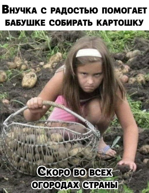 Смешные и познавательные картинки