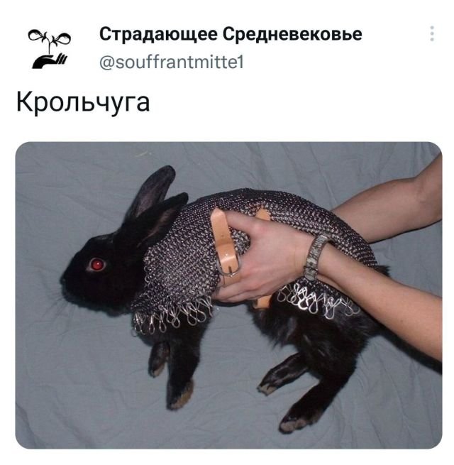 Подборка забавных твитов обо всем - 02.08.2022