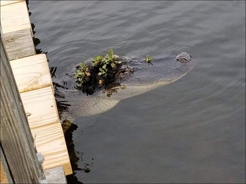 Ударим позитивом по негативу