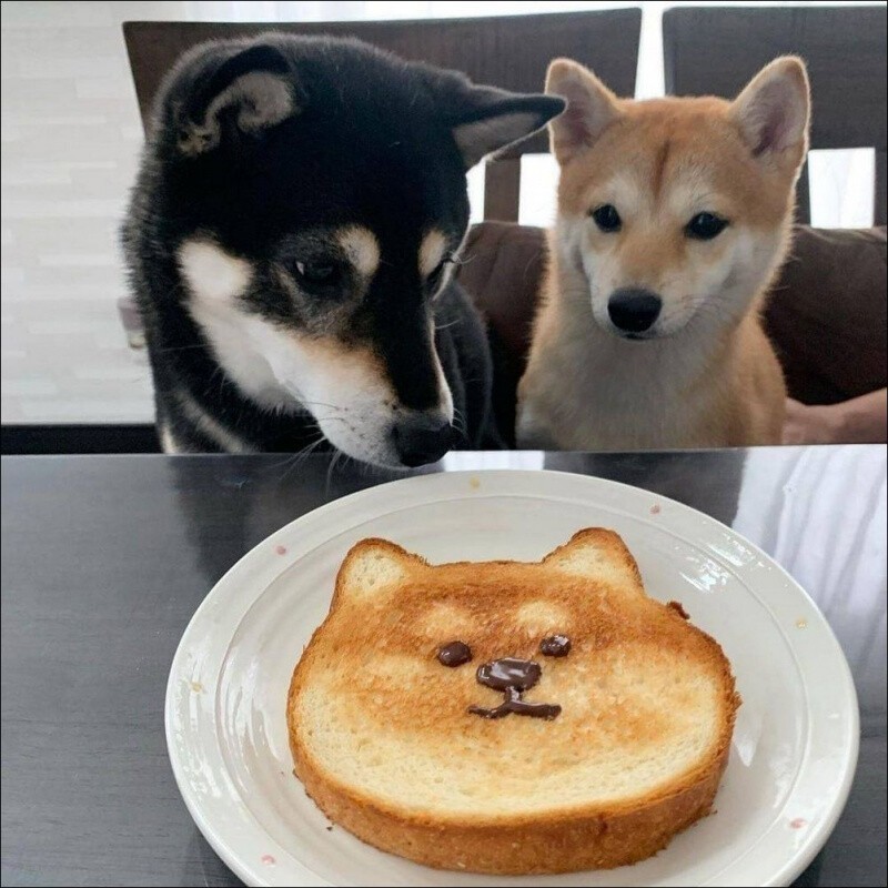 Ударим позитивом по негативу