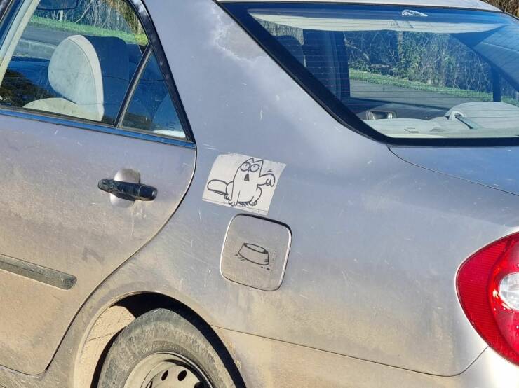 Подборка картинок. Вечерний выпуск (30 фото) - 04.08.2022