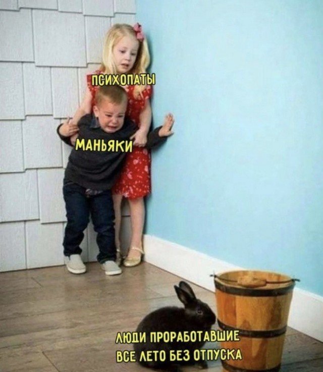 Лучшие шутки и мемы из Сети - 03.08.2022