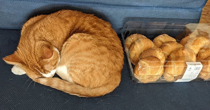 35 фото, на которые придется взглянуть дважды