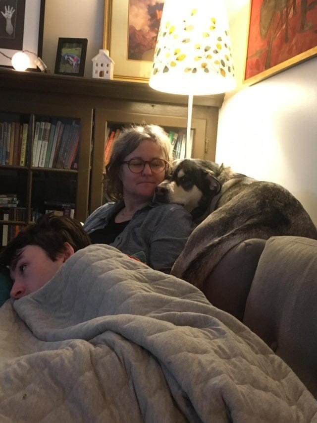 Собаки, которые проводили много времени с котами и переняли их привычки