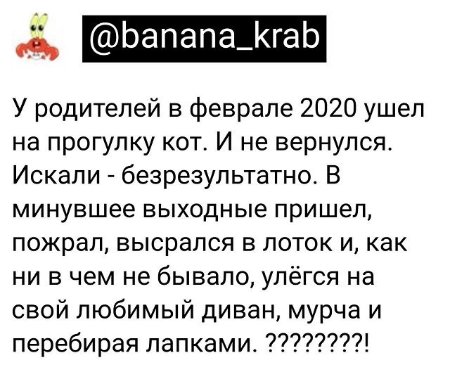 Подборка забавных твитов обо всем