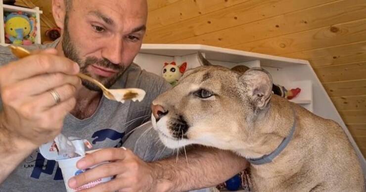 Подборка картинок. Вечерний выпуск (30 фото) - 12.08.2022