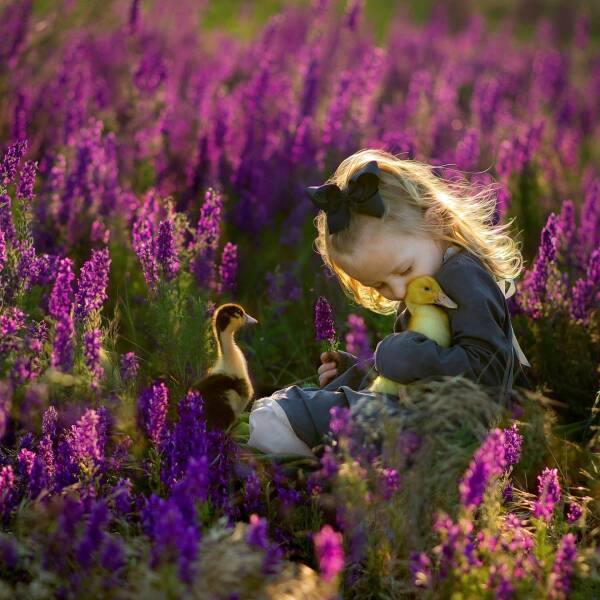 Подборка картинок. Вечерний выпуск (30 фото) - 12.08.2022