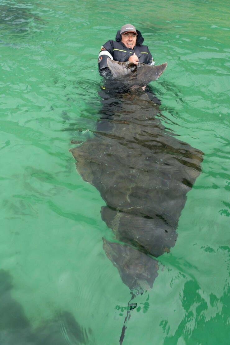 Подборка картинок. Вечерний выпуск (30 фото) - 12.08.2022