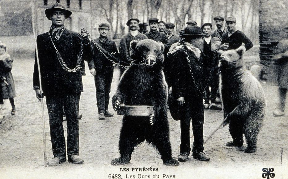 Фотография: Цыганский суд: чем он отличается от светского №4 - BigPicture.ru