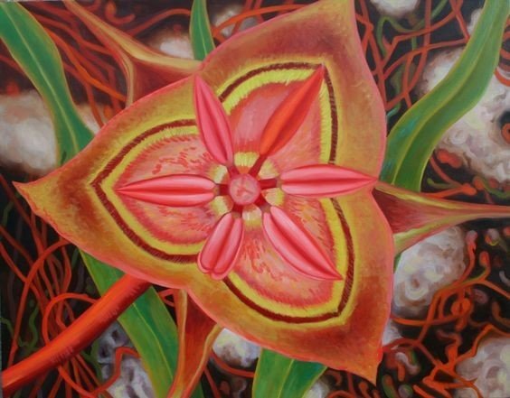 18 совершенно необычных и красивых цветов мира