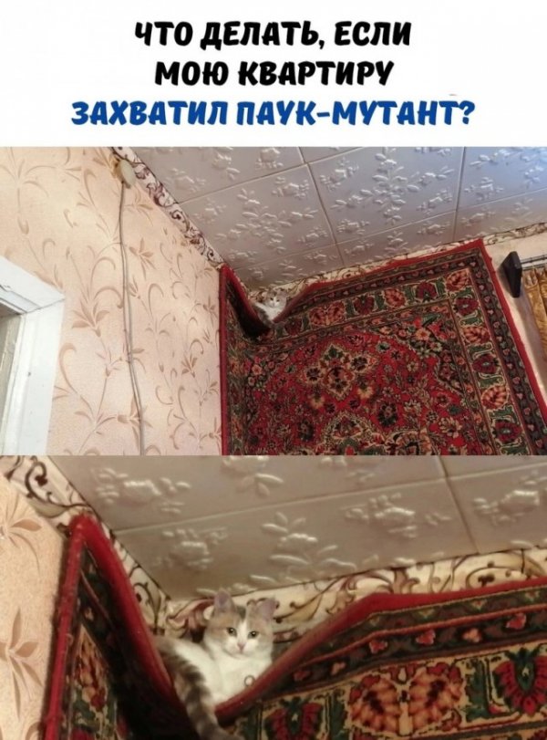 Так себе картинки